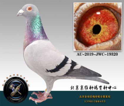 257-AU-2019-JWC-19320