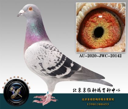 258-AU-2020-JWC-20142