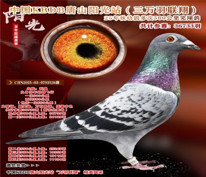 йKBDB裨¶ߣ500뾫ѡ