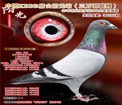 йKBDB裨¶ߣ500뾫ѡ