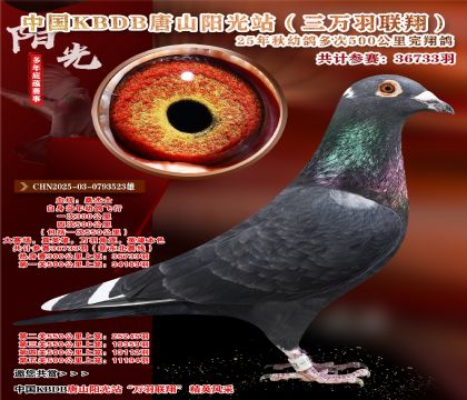 йKBDB裨¶ߣ500뾫ѡ