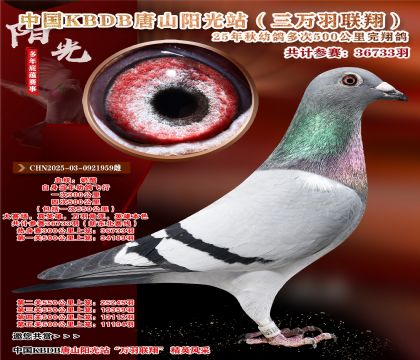 йKBDB裨¶ߣ500뾫ѡ