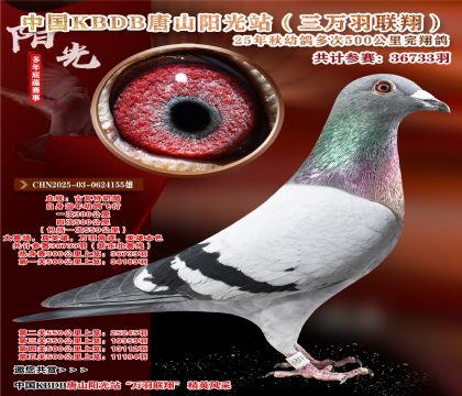 йKBDB裨¶ߣ500뾫ѡ