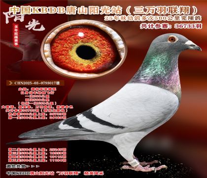 йKBDB裨¶ߣ500뾫ѡ