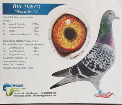 .˹---ګΤȫʡ   101317λ  	