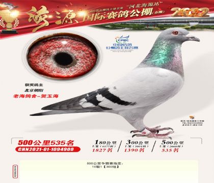 żҿںԴ빫500535