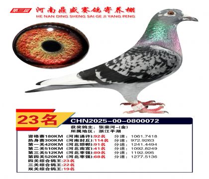 河南鼎盛四關(guān)綜合鴿王第23名