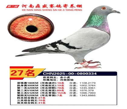 河南鼎盛四關(guān)綜合鴿王第27名