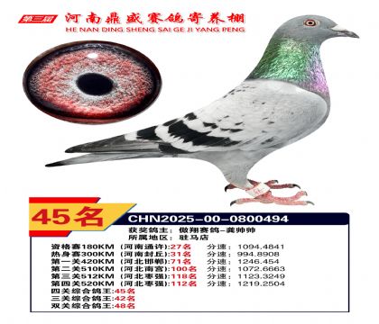 河南鼎盛四關(guān)綜合鴿王第45名
