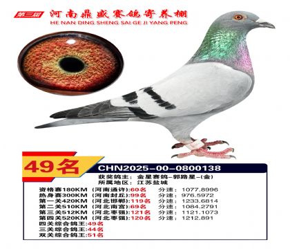 河南鼎盛四關(guān)綜合鴿王第49名
