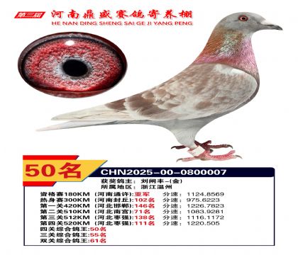 河南鼎盛四關(guān)綜合鴿王第50名