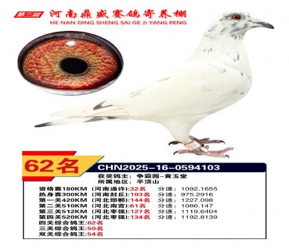 河南鼎盛四關(guān)綜合鴿王第62名