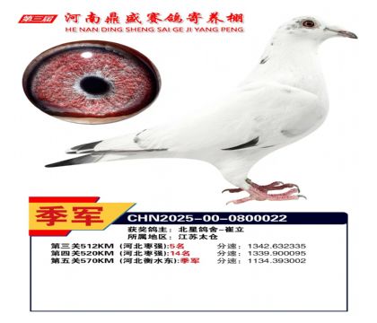 河南鼎盛五關(guān)綜合鴿王加站賽季軍