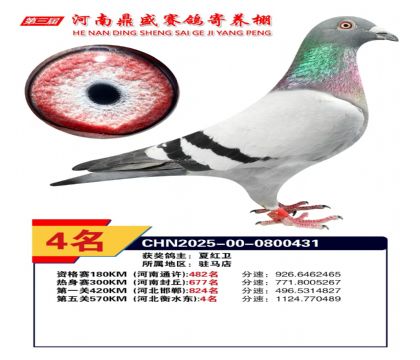 河南鼎盛五關(guān)綜合鴿王加站賽第4名