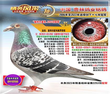 父:基特爾直孫.2253羽冠軍