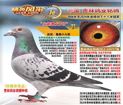 父:黃金配對雄.后代冠軍數(shù)十羽