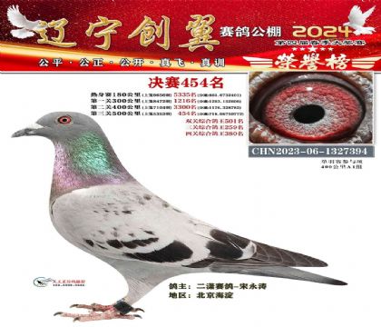 遼寧創(chuàng)翼賽鴿公棚春棚500公里決賽454名 雌