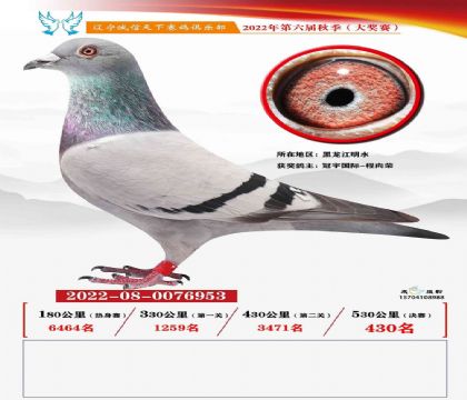 冠宇國際-程向榮--遼寧誠信天下決賽430名 雌