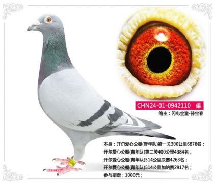 開爾愛心公棚(青年隊(duì))514公里加站賽2917名 雄