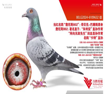 ؐ˰˹ԭᡰء-6109632