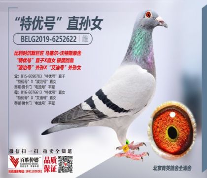 R˹ԭᡰ؃(yu)̖H -6252622