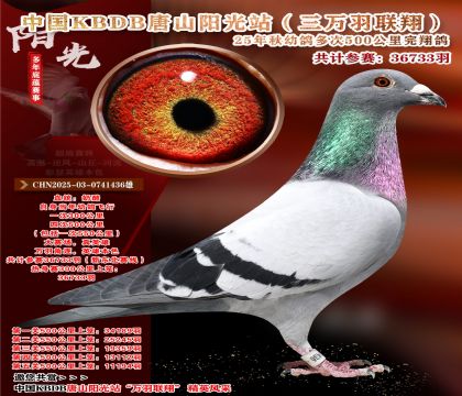 Ї(gu)KBDBf(lin)裨|500x