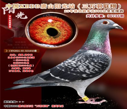 Ї(gu)KBDBf(lin)裨|500x