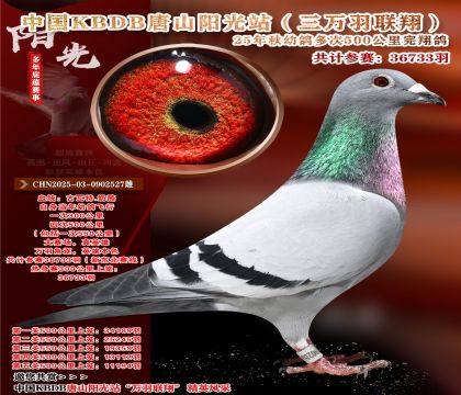 Ї(gu)KBDBf(lin)裨|500x