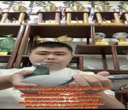 FِǲˡWƥ006ֱX(ju)ؠOŮ