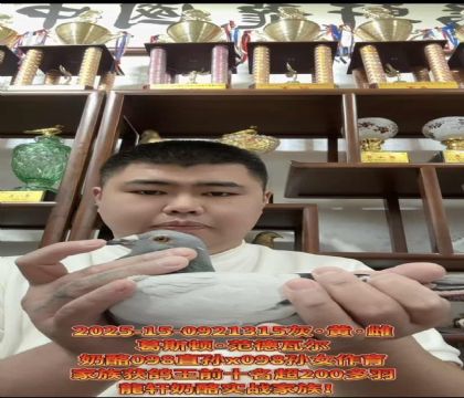 ٷ˹D.ߠ098ֱOX098OŮH