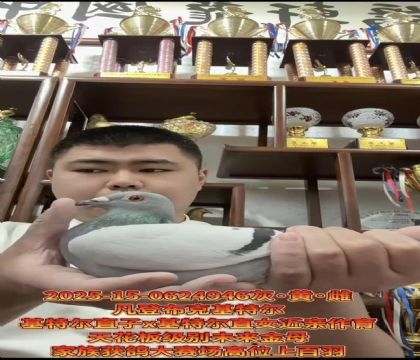 FxǲˡؠֱX(ju)ؠֱŮ