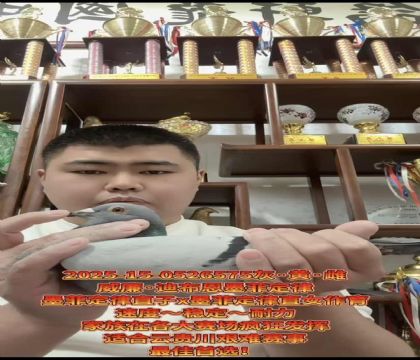 ɽ^(q)ϲīƶɡֱX(ju)īƶɡֱŮ