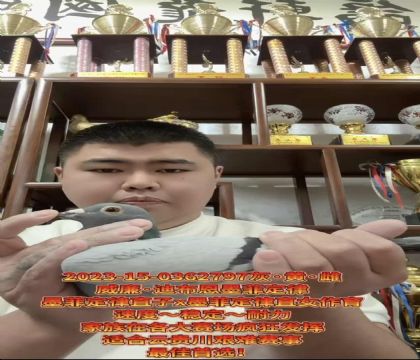 ɽ^(q)ϲīƶɡֱX(ju)īƶɡֱŮ