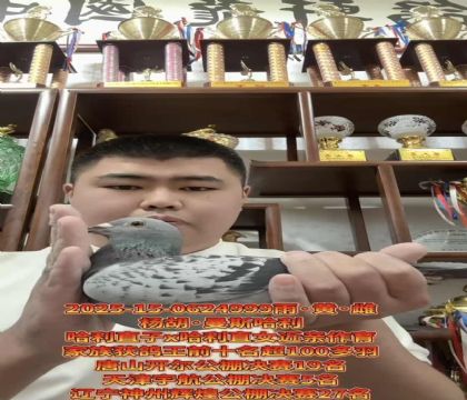 (dng)˹ֱX(ju)ֱŮH