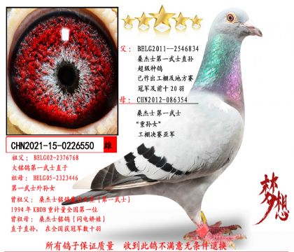 ɣʿһʿֱOXɣʿһʿ،OŮ