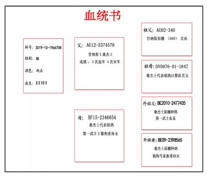 2019-15-1966708血_副本