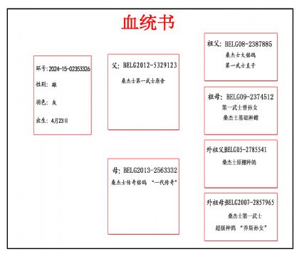 2024-15-0235326血_副本