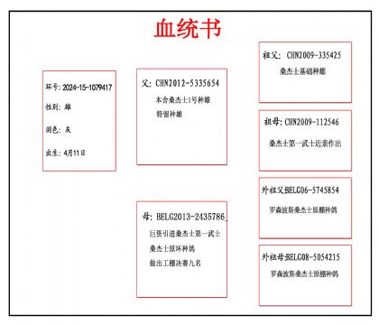 2024-15-1079417血_副本