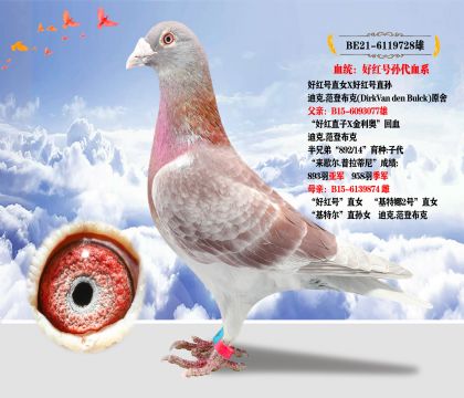 Ͽ.ǲԭᡰüt̖(ho)OѪϵ