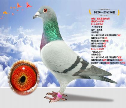 ׵Ϸֵԭ _(d)477ֱϵ