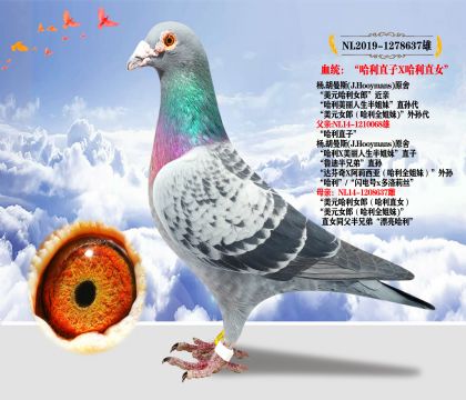 m.˹ԭᡱֱX(ju)ֱŮ