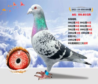 (qing)]Ѫy(tng)W.ՠ˹ ɿ(j)10005