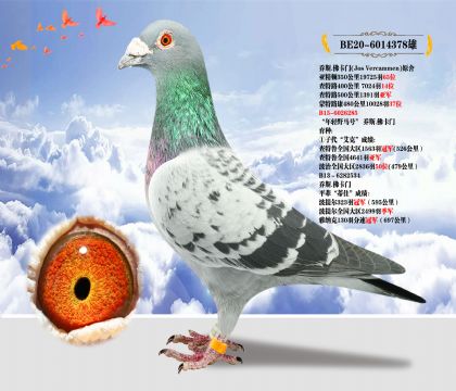 ˹.T(mn)ԭ  pҰR̖(ho)