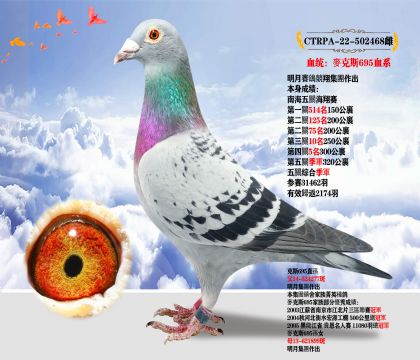 _(ti)ِ(jng)輯F(tun)˹695Ѫϵ