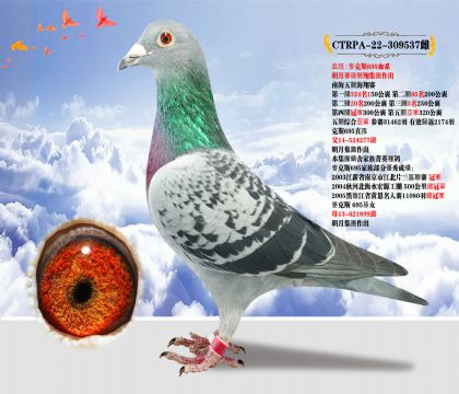 _(ti)ِ(jng)輯F(tun)˹695Ѫϵ