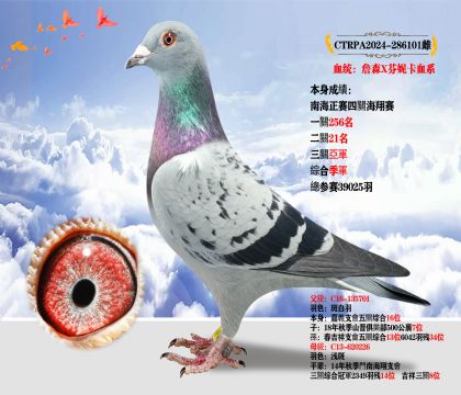 _(ti)(qing) ղɭXݿѪϵ