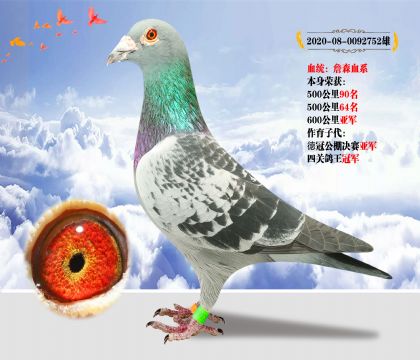 Ѫy(tng)ղɭѪϵ s@600܊