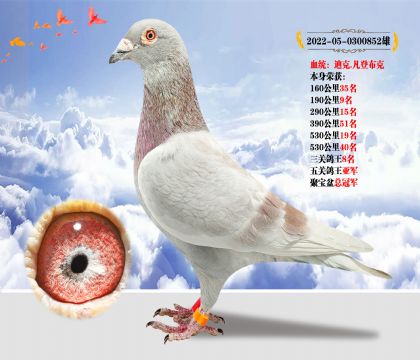 Ѫy(tng)Ͽ.ǲ s@P(gun)܊