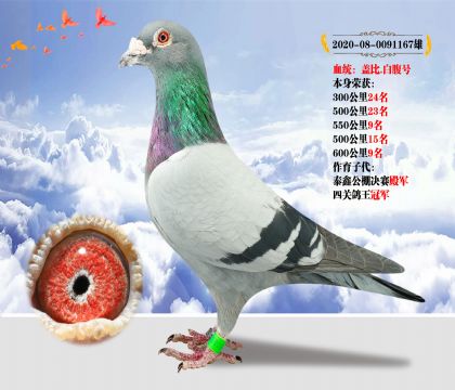 Ѫy(tng)w.׸̖(ho)  s@6009