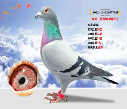 Ѫy(tng)˹D.С ɿ(j)P(gun)܊